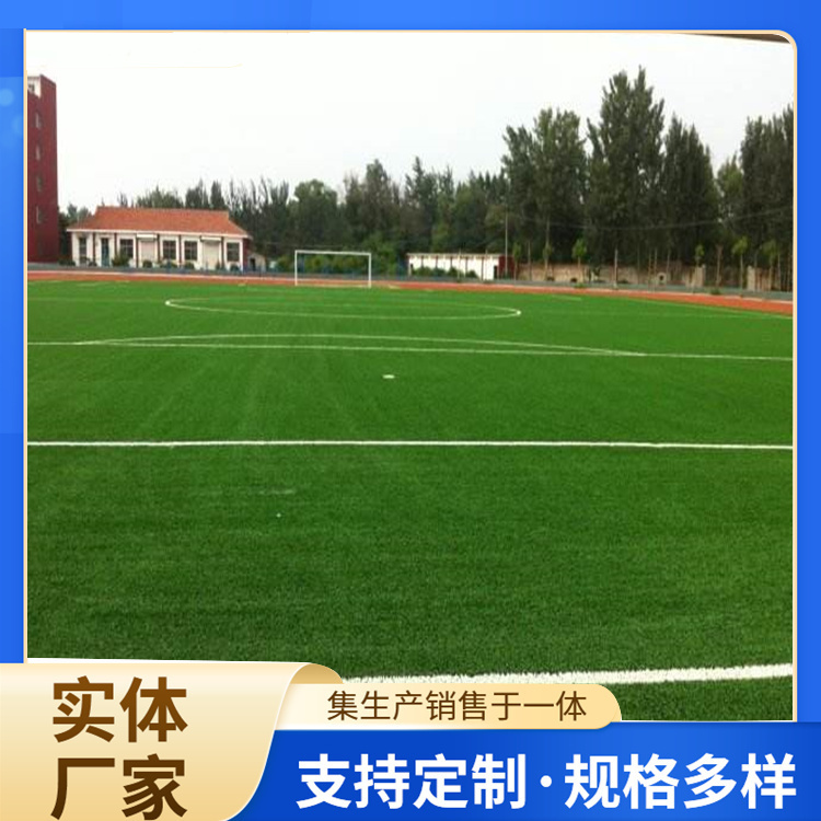 崇左市橡胶跑道人造草坪 - 方案